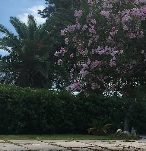 Dolce R5915 Lägenhet