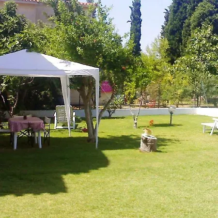 Dolce R5915 פולה