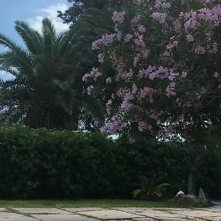 Dolce R5915 Apartament