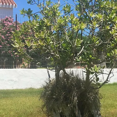 Apartament Dolce R5915 *