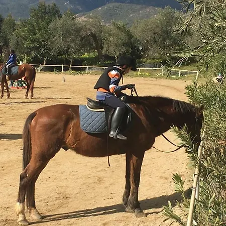 Apartament Dolce R5915 Pula