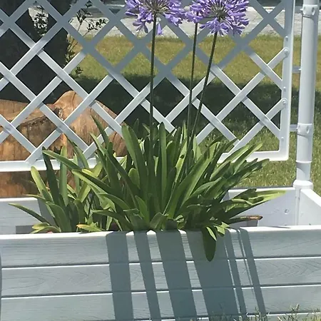 Dolce R5915 Apartament