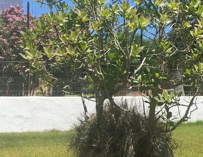 公寓 Dolce R5915 *