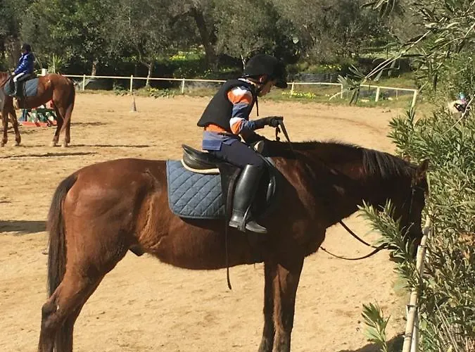 公寓 Dolce R5915 普拉